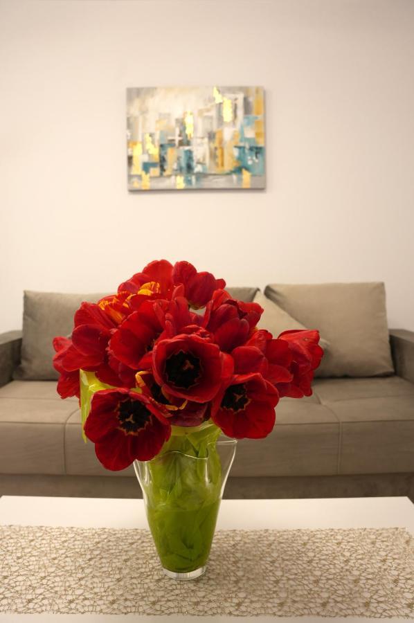 Brigitte Apartment บราชอฟ ภายนอก รูปภาพ